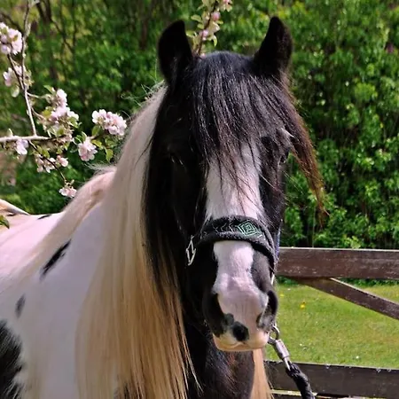 Apartment Tiererlebnishof Obermuehle *